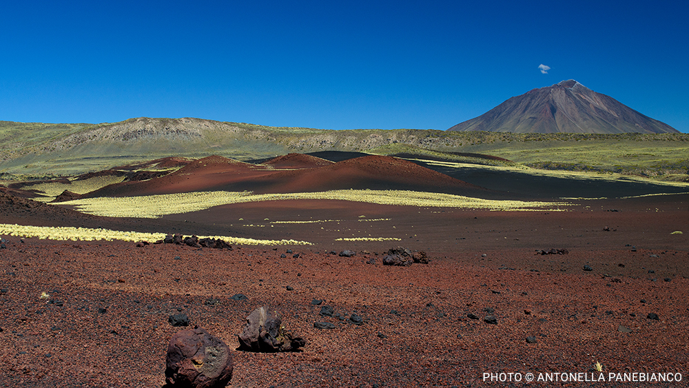The Importance of Biodiversity Conservation